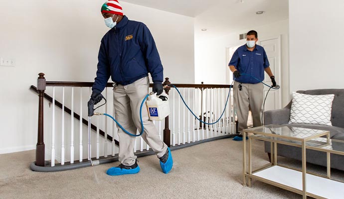 Carpet deodorizing service