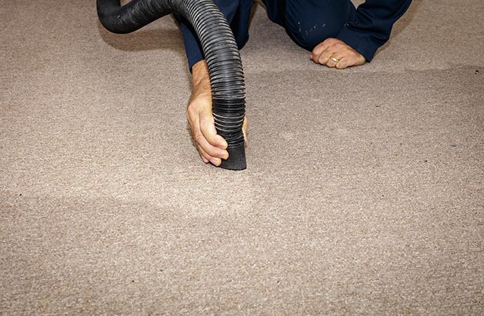 water damaged carpet odor removal in Baltimore