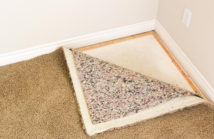 Remove Odor from Wet Padding in Baltimore, MD