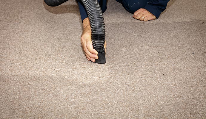 Professional restoring water damaged carpet