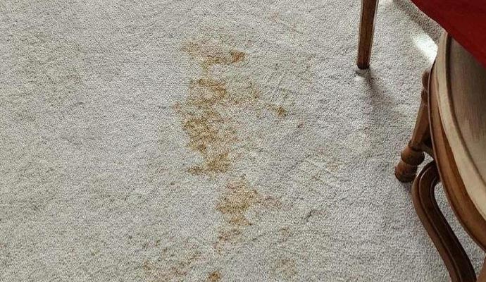 Visible stain on carpet