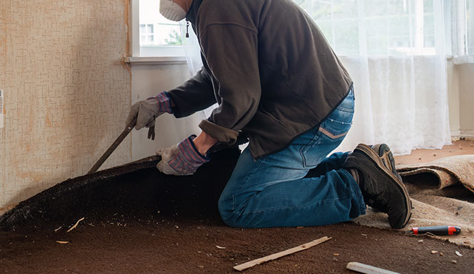 Removing water damaged carpet