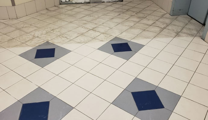 professional tile cleaning process