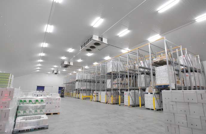 Commercial Warehouse and cold storage