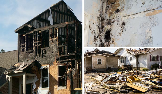 collage of fire damage, mold and storm damage