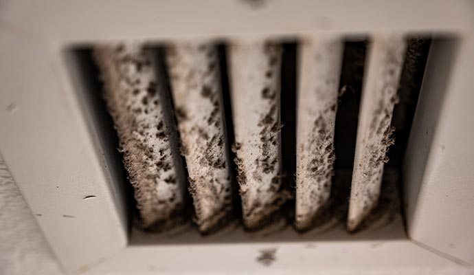 mold in the hvac duct