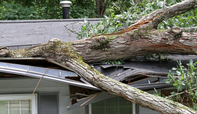 A storm damaged roof