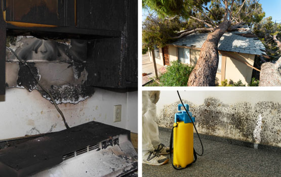 Collage of fire, storm damage house and mold-remediation