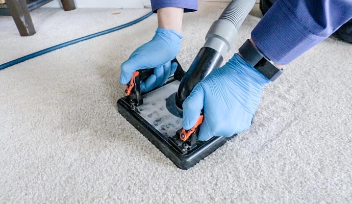 carpet mold cleaning service