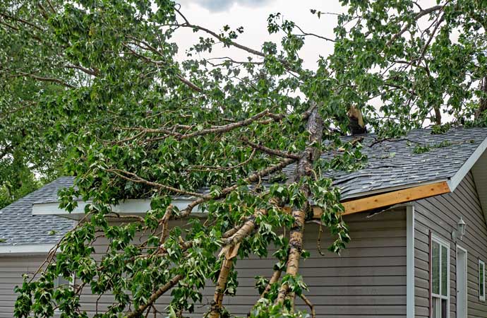 Storm damage restoration