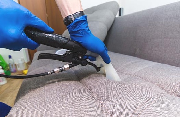 Loveseat Cleaning Professionally