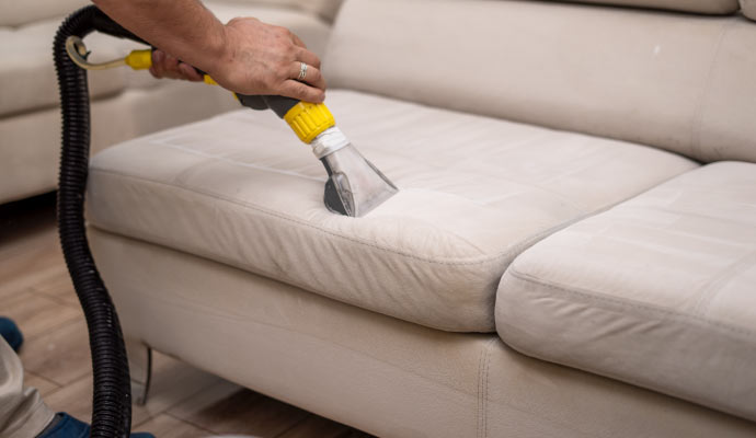 professional cleaner cleaning sofa