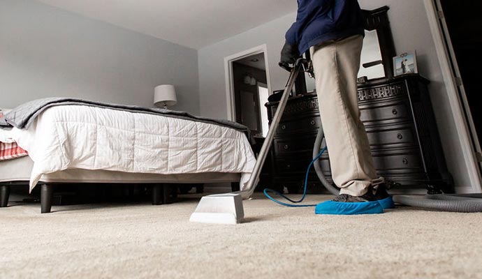 Professional carpet cleaning